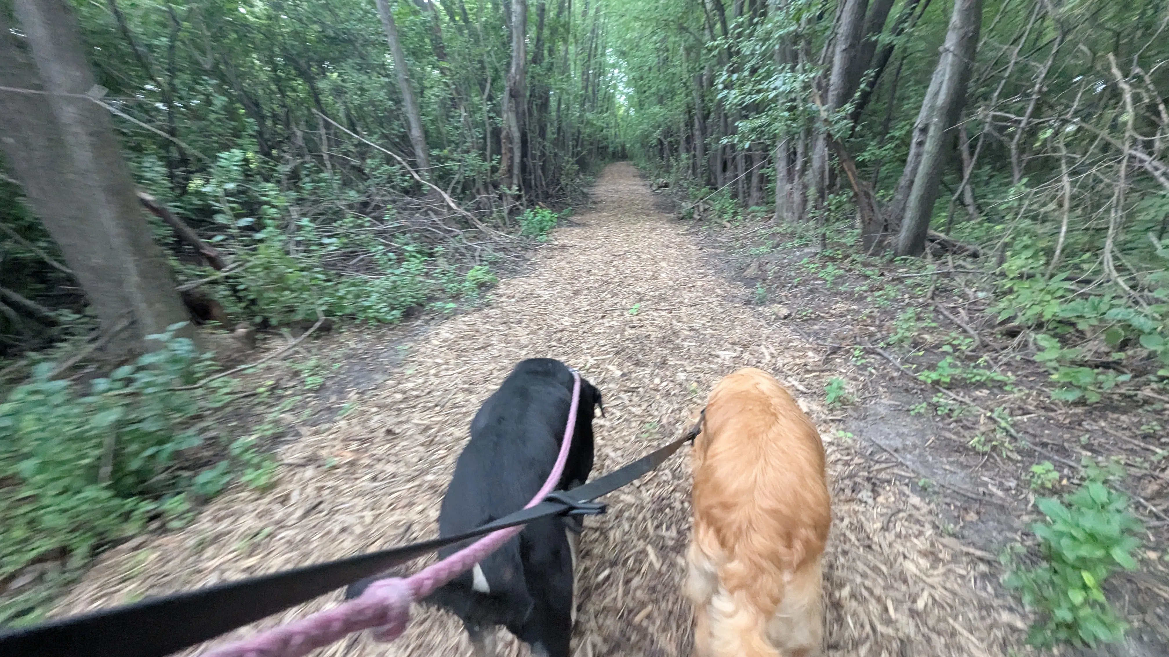 Nature Walks at Ruffin Inn — photo 5